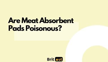 Are Meat Absorbent Pads Poisonous?
