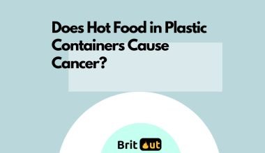 Does Hot Food in Plastic Containers Cause Cancer?