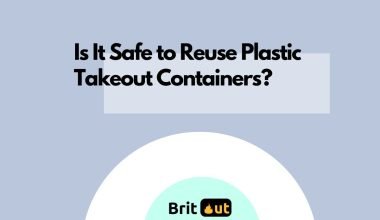 Is It Safe to Reuse Plastic Takeout Containers?