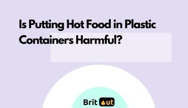 Is Putting Hot Food in Plastic Containers Harmful?
